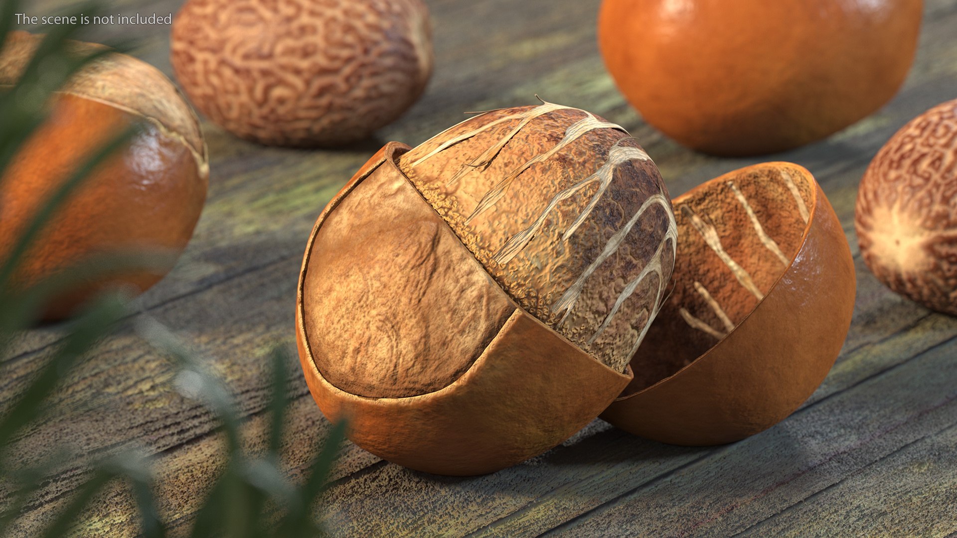 3D Opened Nuts Collection 3 model https://p.turbosquid.com/ts-thumb/DI/H1sR5v/UI/openednutscollection33dmodel011/jpg/1708295524/1920x1080/fit_q87/957db84ac67f8f1ef8370304d908abe3154c0c13/openednutscollection33dmodel011.jpg