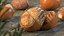 Opened Nuts Collection 3