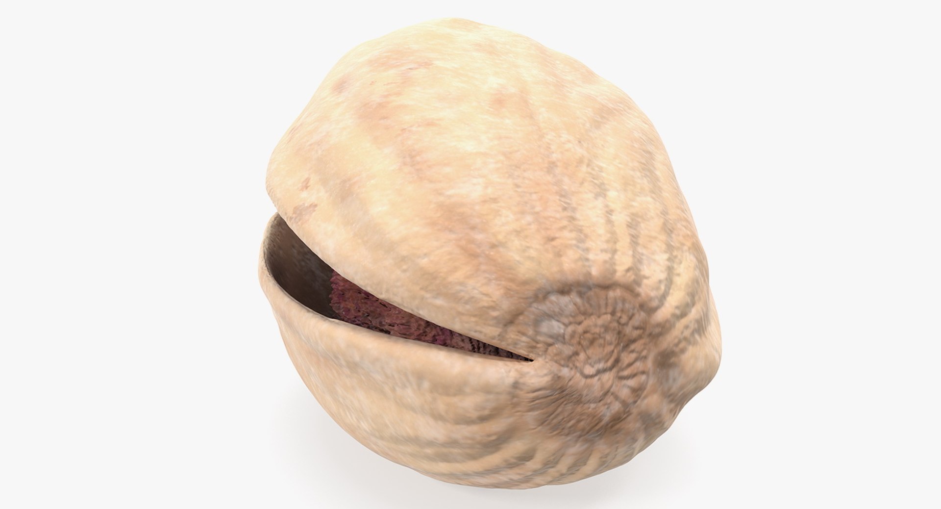 3D Opened Nuts Collection 3 model https://p.turbosquid.com/ts-thumb/DI/H1sR5v/W1/openednutscollection33dmodel025/jpg/1708295584/1920x1080/fit_q87/d90cb62bded99b2d984aba02570112495a748a35/openednutscollection33dmodel025.jpg