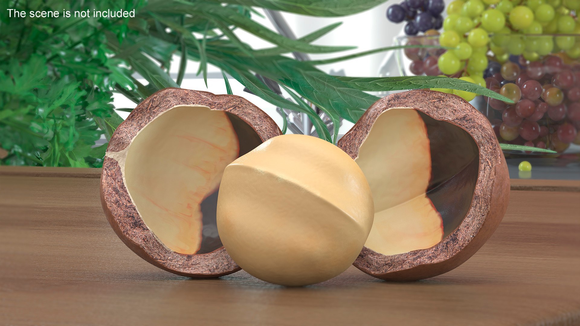 3D Opened Nuts Collection 3 model https://p.turbosquid.com/ts-thumb/DI/H1sR5v/mz/openednutscollection33dmodel002/jpg/1708295486/1920x1080/fit_q87/d709434ec11a59e7ef75d64b488a8512585db87e/openednutscollection33dmodel002.jpg