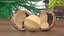 Opened Nuts Collection 3