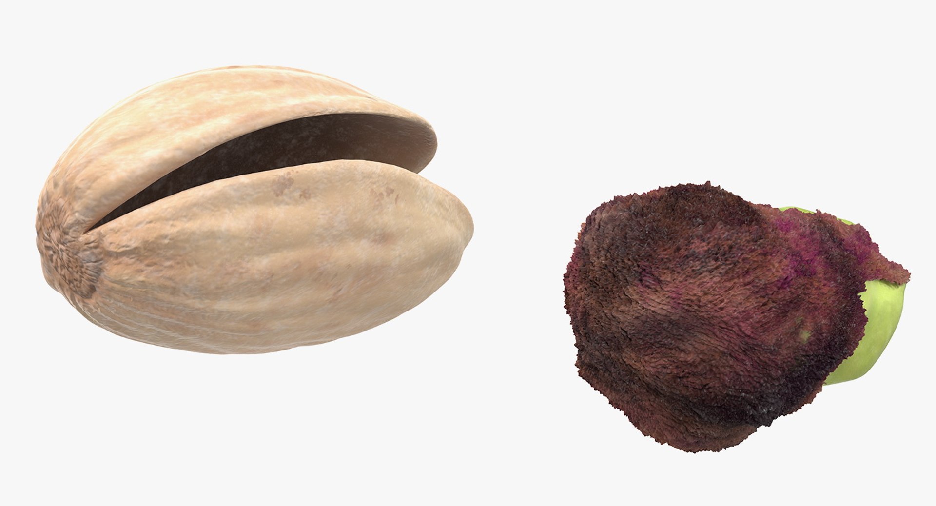 3D Opened Nuts Collection 3 model https://p.turbosquid.com/ts-thumb/DI/H1sR5v/wQ/openednutscollection33dmodel028/jpg/1708295599/1920x1080/fit_q87/c4d99854ef22b725e2b12b2b9fec1be1301d9eb6/openednutscollection33dmodel028.jpg