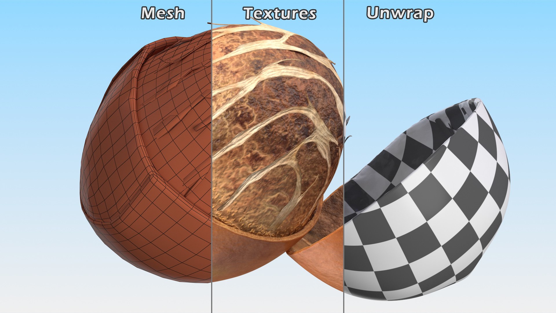 3D Opened Nuts Collection 3 model https://p.turbosquid.com/ts-thumb/DI/H1sR5v/x6/openednutscollection33dmodel015/jpg/1708295541/1920x1080/fit_q87/80d2537d7145d14f2b9f618c403848f93c87cfe6/openednutscollection33dmodel015.jpg