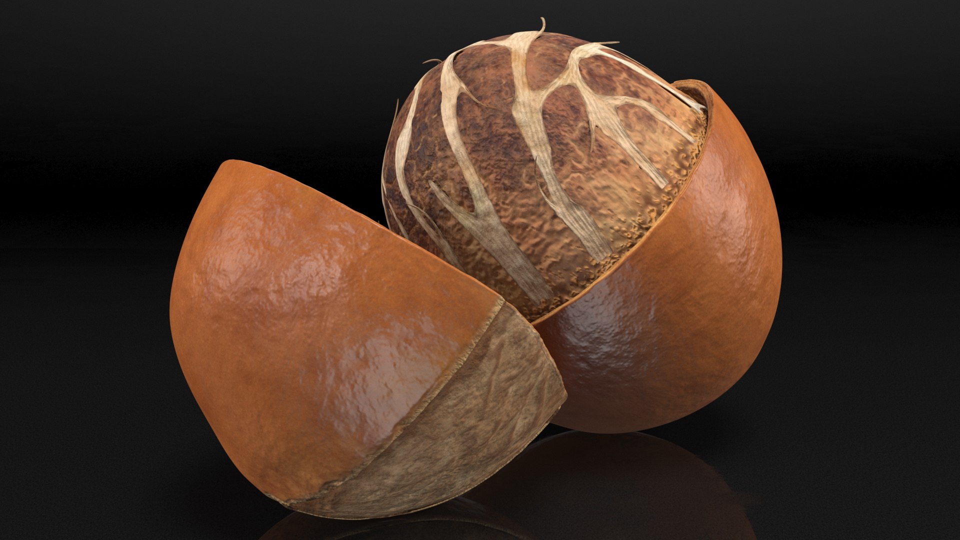 3D Opened Nuts Collection 3 model https://p.turbosquid.com/ts-thumb/DI/H1sR5v/x7/openednutscollection33dmodel014/jpg/1708295537/1920x1080/fit_q87/67069d4f985aade7c4b71da15b17b206b50e9f08/openednutscollection33dmodel014.jpg