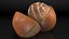 Opened Nuts Collection 3