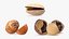 Opened Nuts Collection 3
