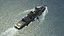 3D warships class destroyer cruiser