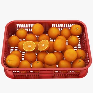 3D model Crate of Oranges