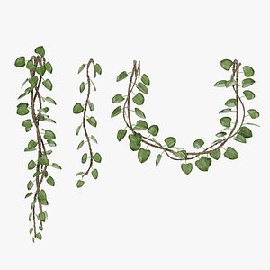 Liana Plants