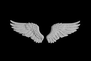3D Model Sculpture of a Pair of Angel Wings in Flight Pose Print Model