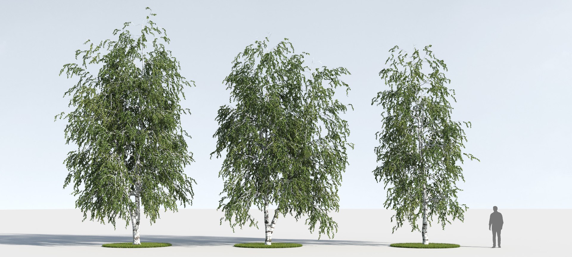 3D trees 12 https://p.turbosquid.com/ts-thumb/DI/qqVGiS/7J67G1rS/three_season_trees_125/jpg/1543049552/1920x1080/fit_q87/2197b7c7e62f6d04959e1fffb75043302cfc8930/three_season_trees_125.jpg