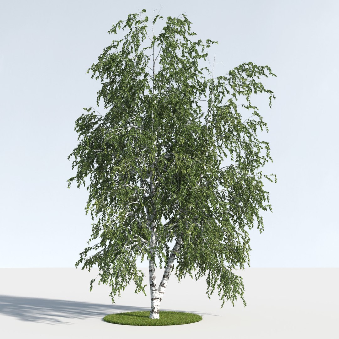 3D trees 12 https://p.turbosquid.com/ts-thumb/DI/qqVGiS/AgTFbDgm/three_season_trees_122/jpg/1543049529/1920x1080/fit_q87/2c2a75ea3a7959c209178950bc616dbe128bdcb1/three_season_trees_122.jpg