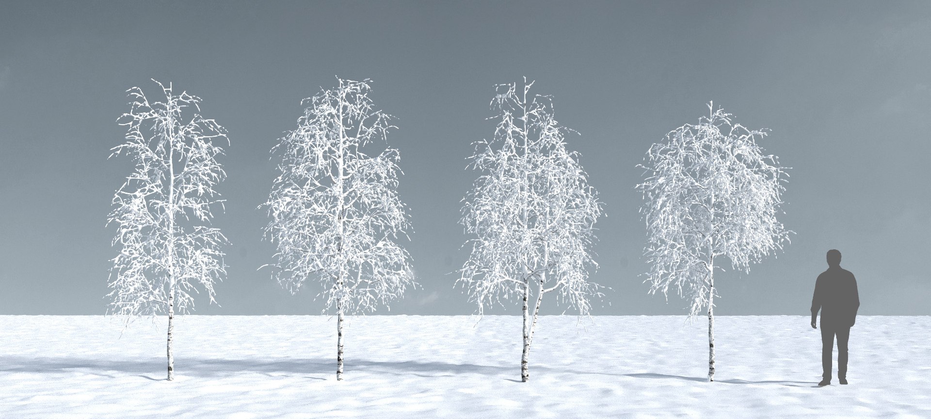 3D trees 12 https://p.turbosquid.com/ts-thumb/DI/qqVGiS/KAdJief7/three_season_trees_1212/jpg/1543049617/1920x1080/fit_q87/2a59638e3ab29c3a8ff450a742000c0096fccd9d/three_season_trees_1212.jpg
