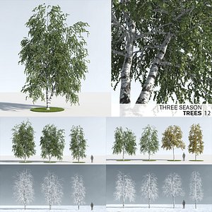 3D trees 12