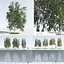 Three Season Trees 12: Birch (+Growfx)
