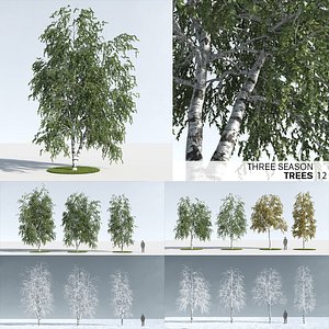 Three Season Trees 12: Birch (+Growfx)