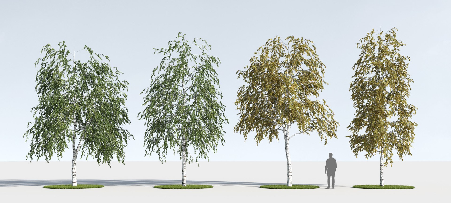 3D trees 12 https://p.turbosquid.com/ts-thumb/DI/qqVGiS/RUZRO5z1/three_season_trees_127/jpg/1543049566/1920x1080/fit_q87/b209ac2274e42ba1afe98f39938f52e7a64a3e3a/three_season_trees_127.jpg