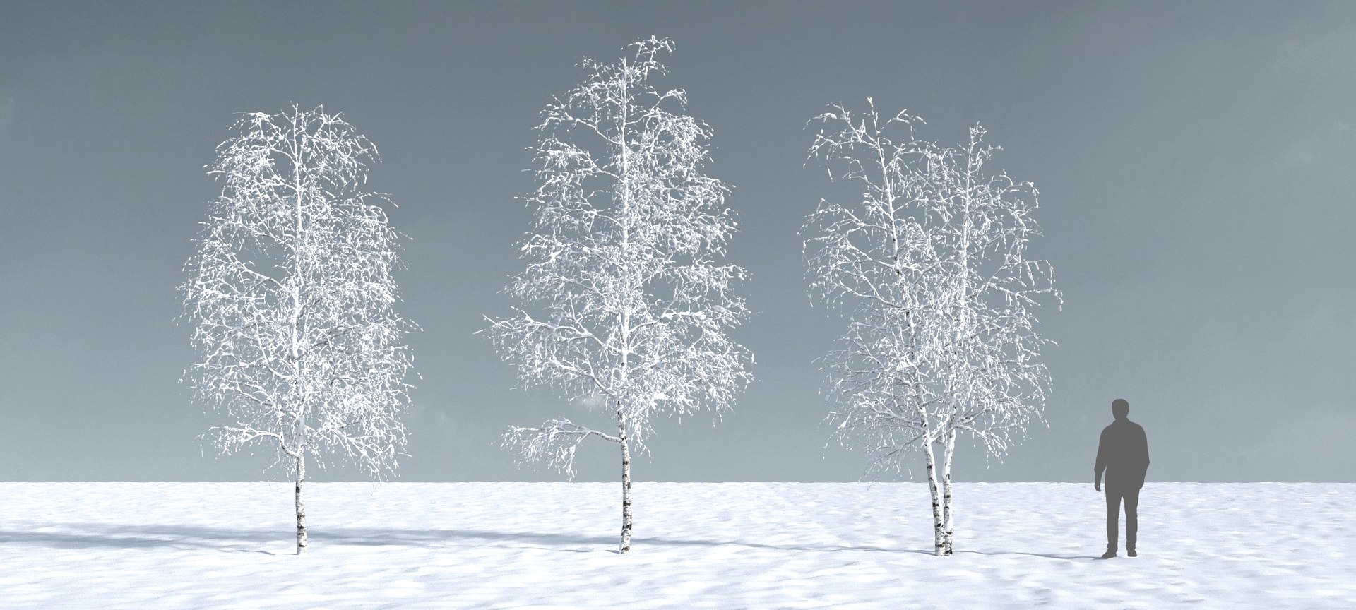 3D trees 12 https://p.turbosquid.com/ts-thumb/DI/qqVGiS/gUr9bP2W/three_season_trees_1210/jpg/1543049579/1920x1080/fit_q87/9db3a6a0d1b762bfeca1b12fd305b01b1c5c9cea/three_season_trees_1210.jpg