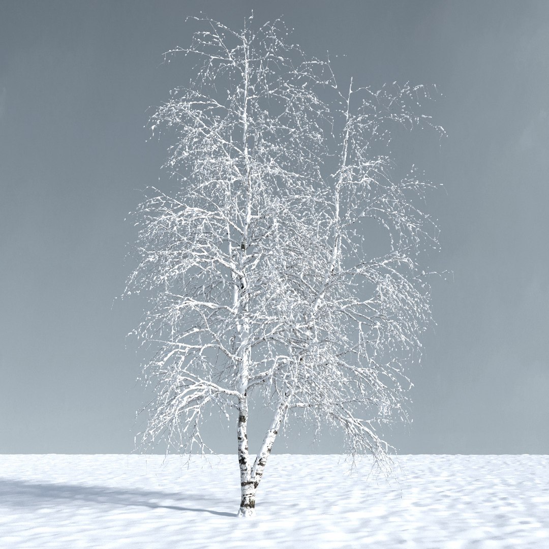 3D trees 12 https://p.turbosquid.com/ts-thumb/DI/qqVGiS/ndIyJkxQ/three_season_trees_124/jpg/1543049552/1920x1080/fit_q87/b6e3e4e17b889d92733e75ca9f2aeef972e5196d/three_season_trees_124.jpg