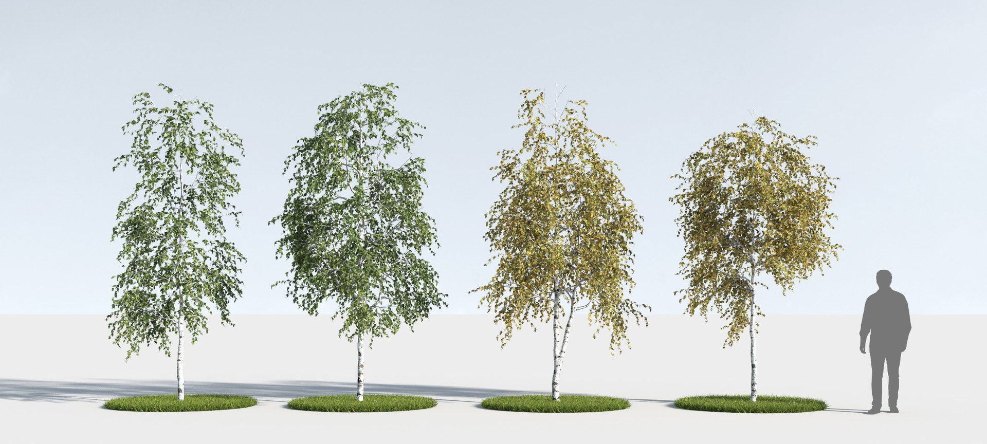 3D trees 12 https://p.turbosquid.com/ts-thumb/DI/qqVGiS/yYQeWABe/three_season_trees_1211/jpg/1543049617/1920x1080/fit_q87/1f8b70a7a68a9de2bf31fc21edc137fb825a9368/three_season_trees_1211.jpg