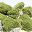 3D 이끼 바위 컬렉션 Vol 283-3dsmax-블렌더