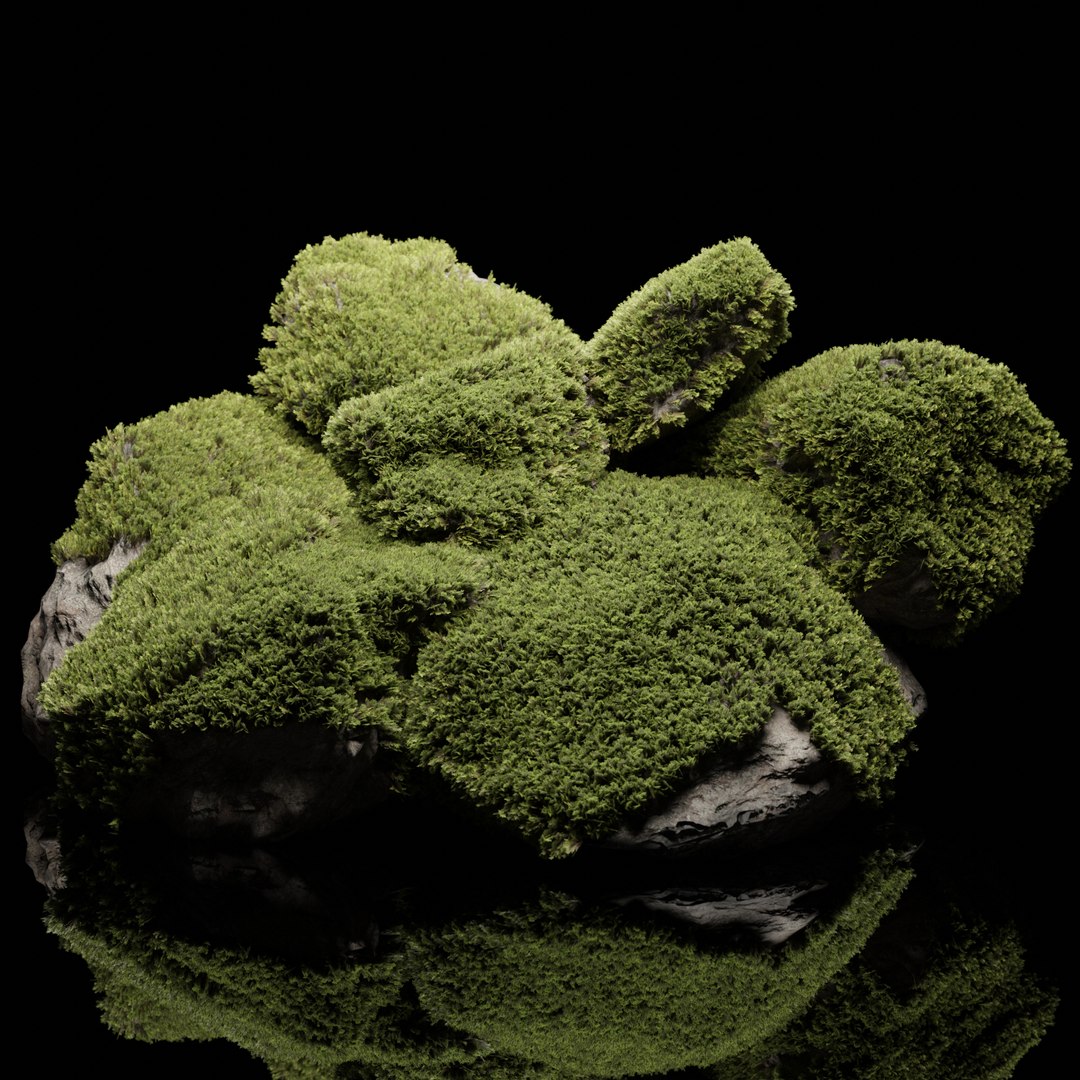 3D Mossy Rock Collection Vol 283-3dsmax-Blender 3D model https://p.turbosquid.com/ts-thumb/DI/sBX3hx/Jc/6/jpg/1729455474/1920x1080/fit_q87/5206956f866cc3afc9d640c9b57f9089ad5efcbd/6.jpg