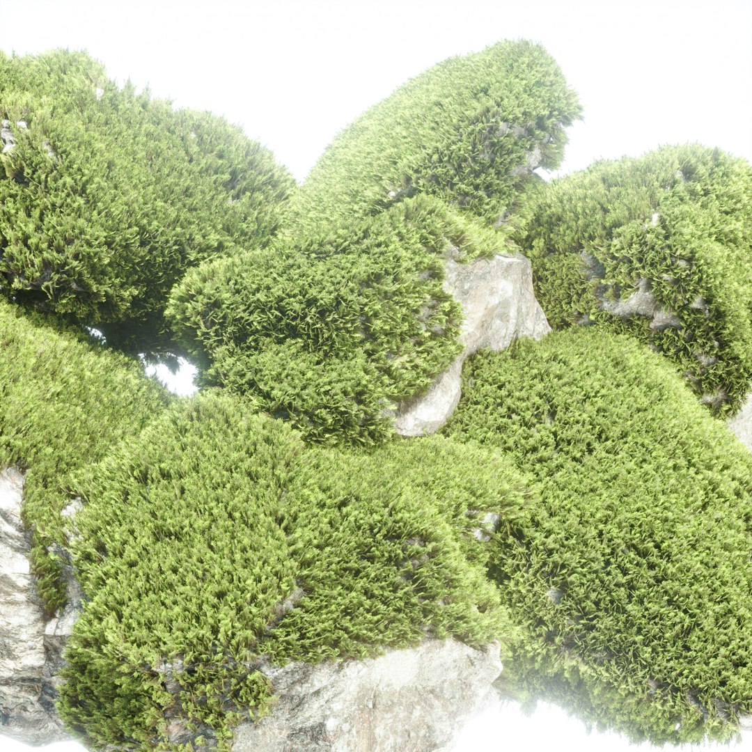 3D Mossy Rock Collection Vol 283-3dsmax-Blender 3D model https://p.turbosquid.com/ts-thumb/DI/sBX3hx/vd/3/jpg/1729455471/1920x1080/fit_q87/04b397afa045182f6225e7393587518836678fd1/3.jpg
