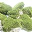 3D 이끼 바위 컬렉션 Vol 283-3dsmax-블렌더