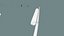 Bamboo Fishing Rod