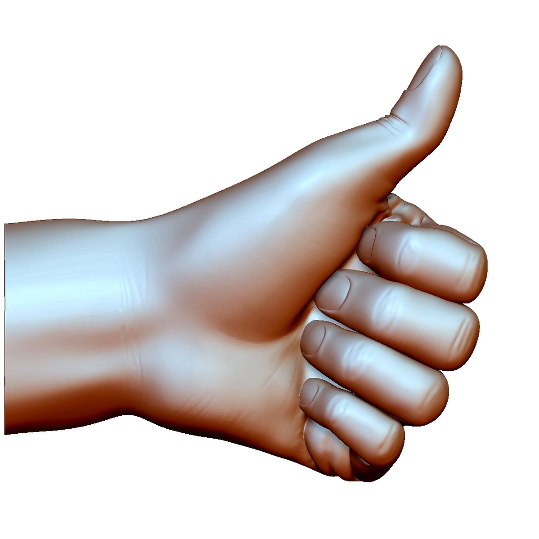 thumb hand sign gesture 3D model https://p.turbosquid.com/ts-thumb/DI/xfbCEE/bsQZBMgP/thumbupstraight1/jpg/1561462762/1920x1080/fit_q87/e3686a7ab43c680725291e9a24cd713409ee828f/thumbupstraight1.jpg