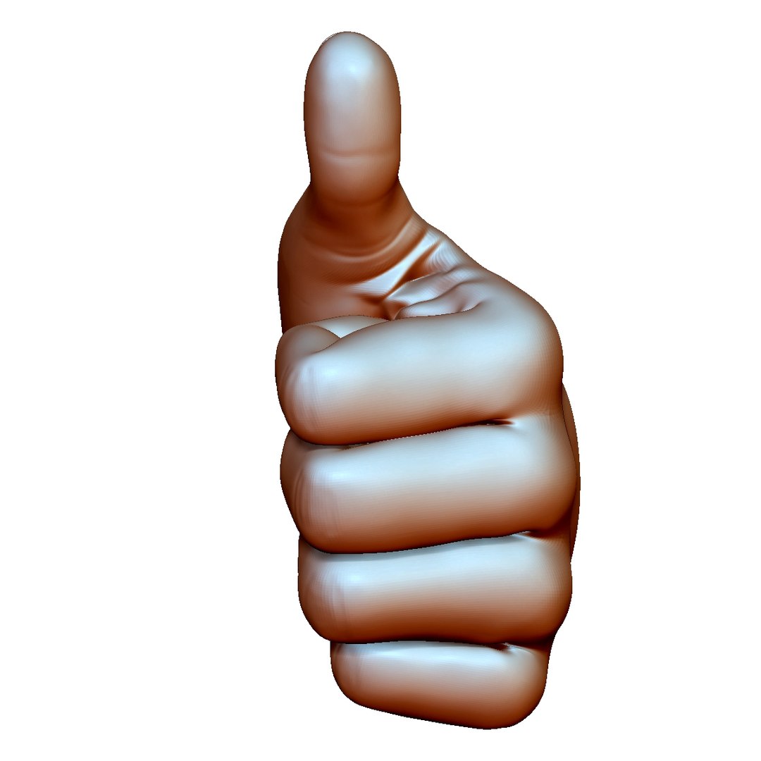 thumb hand sign gesture 3D model https://p.turbosquid.com/ts-thumb/DI/xfbCEE/qiw9Si77/thumbupstraight4/jpg/1561462762/1920x1080/fit_q87/27b7b59310b2bbee8a1b9f26ee0664ff2bf87209/thumbupstraight4.jpg