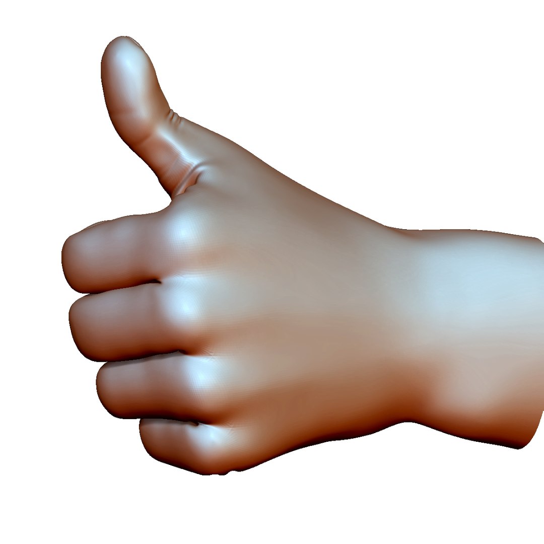 thumb hand sign gesture 3D model https://p.turbosquid.com/ts-thumb/DI/xfbCEE/tACuGcbk/thumbupstraight5/jpg/1561462762/1920x1080/fit_q87/feb359c3c1fa011fa856d8ca3c554f8952beae08/thumbupstraight5.jpg