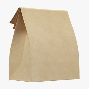 Paper Takeaway Bag