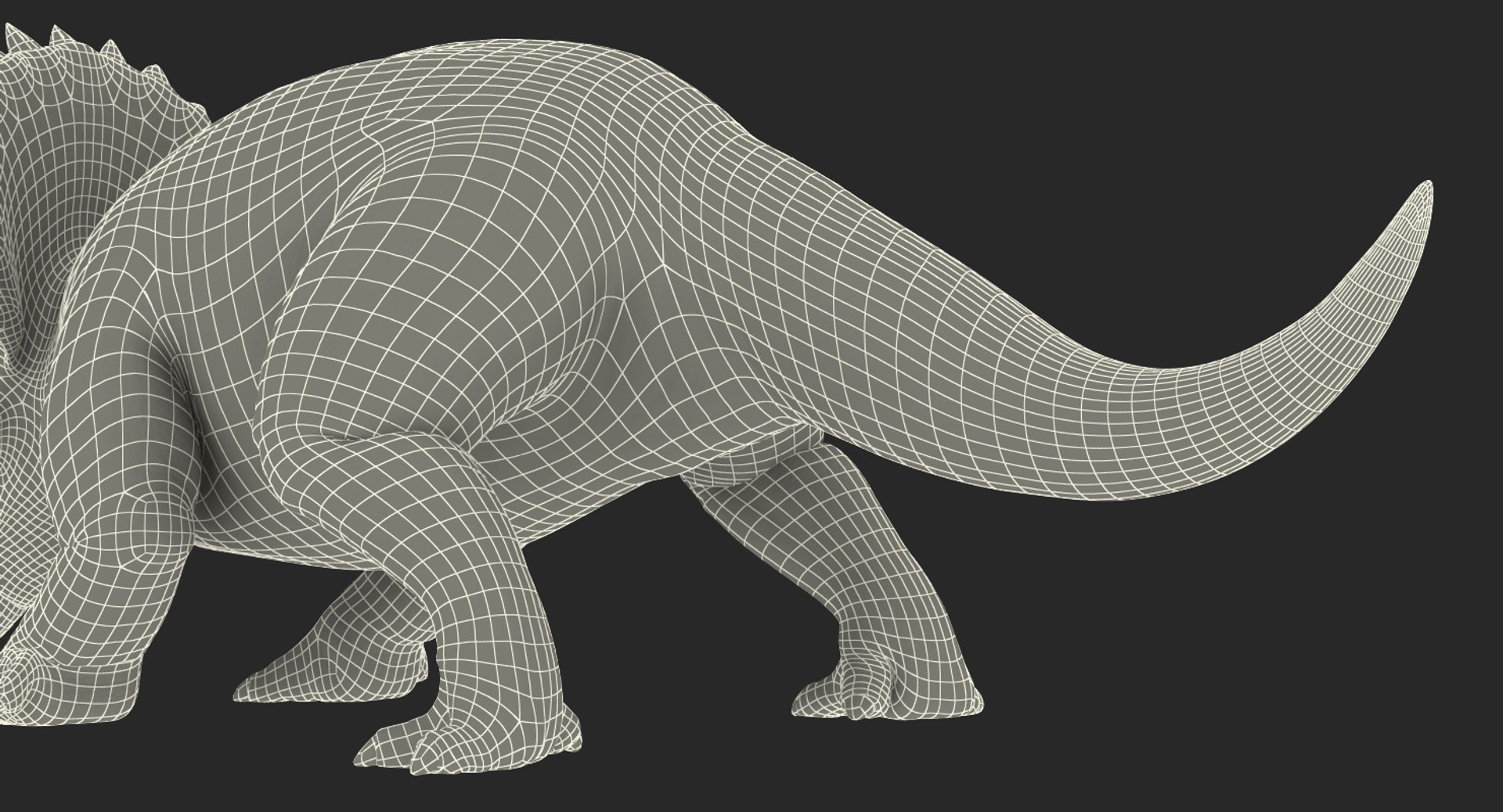 triceratops rigged 3d c4d