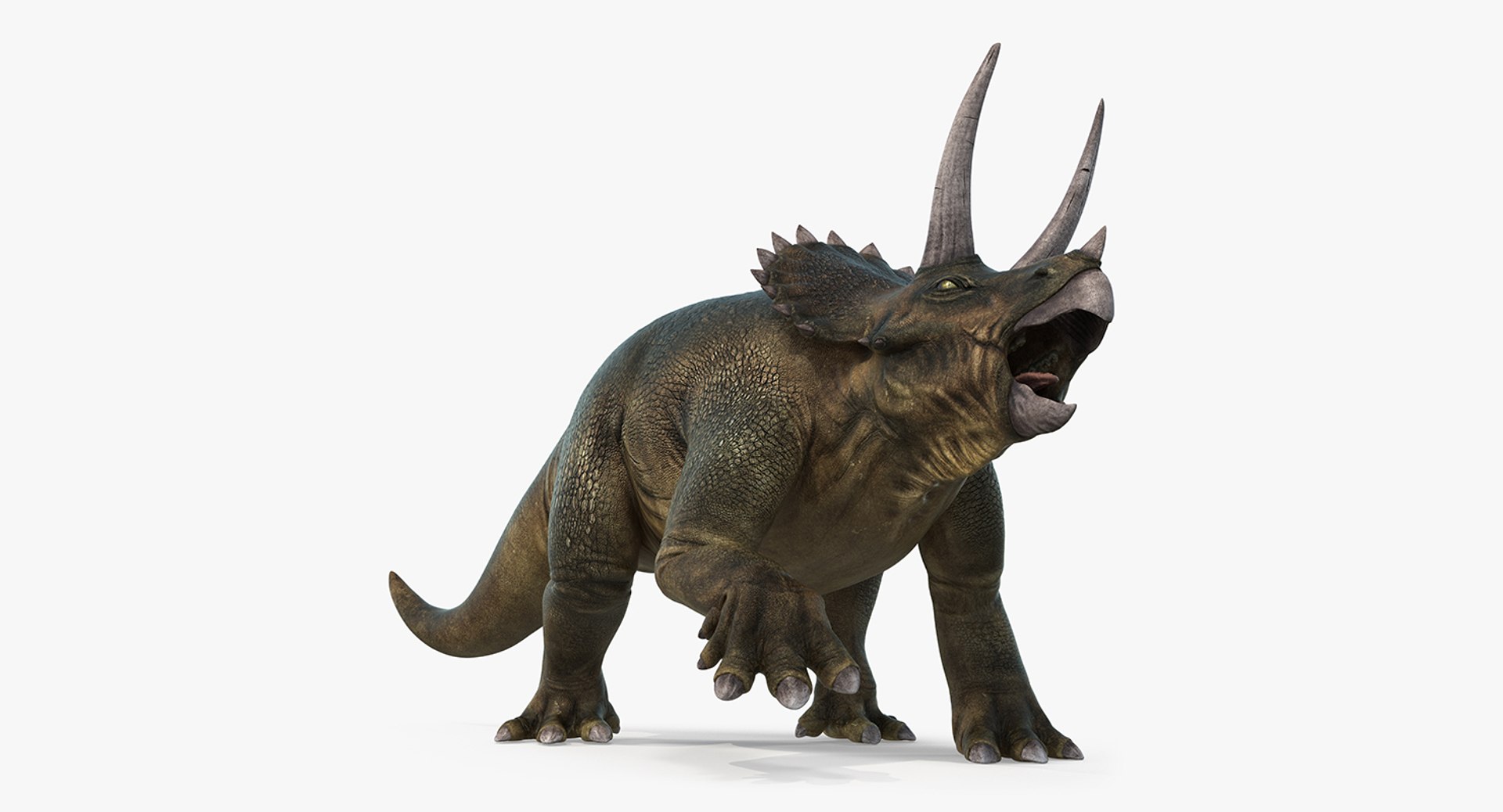 Herbivorous Dinosaurs Collection 2 Rigged for Cinema 4D 3D model preview
