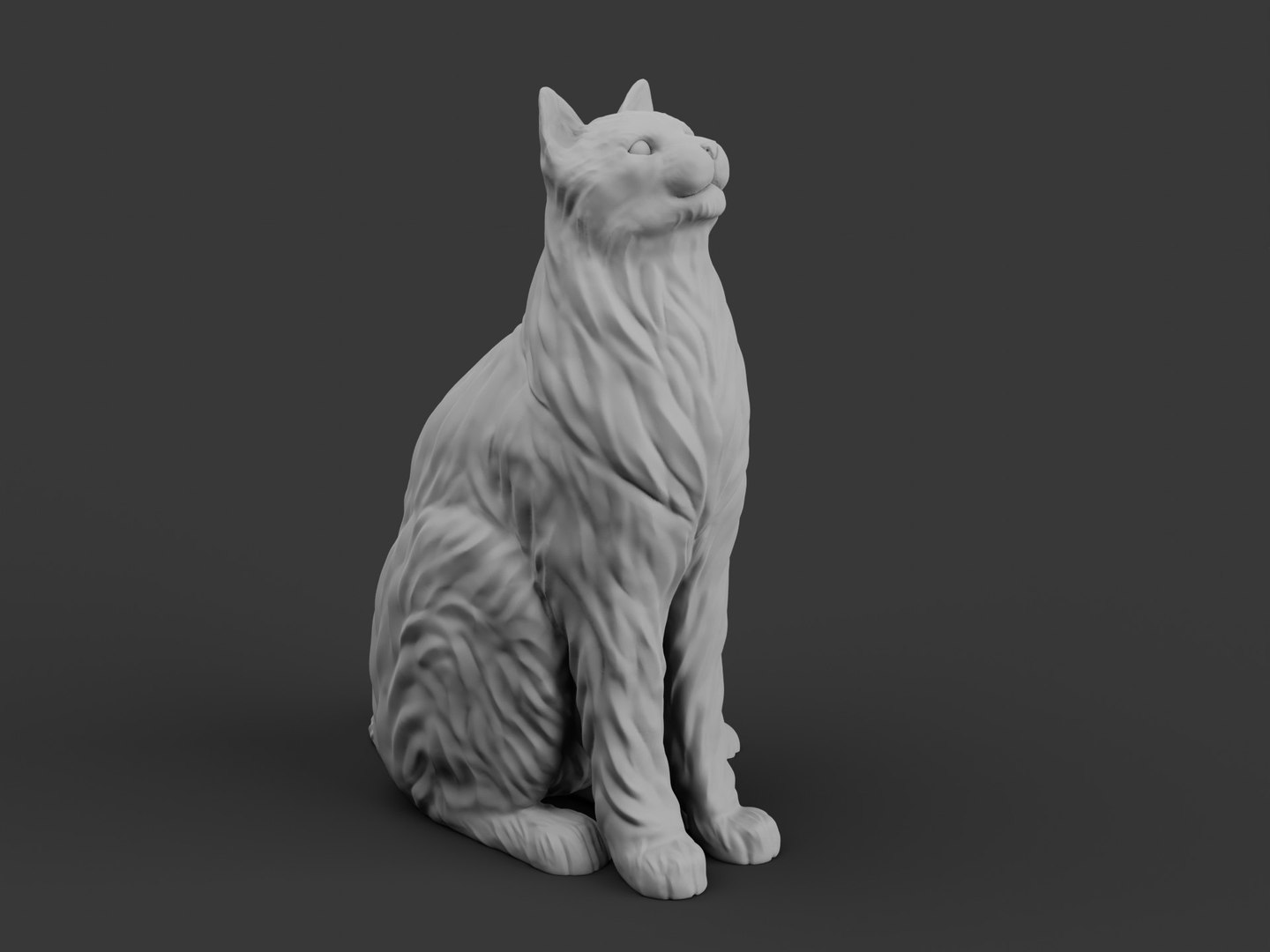 3D Cat Model - TurboSquid 2025502