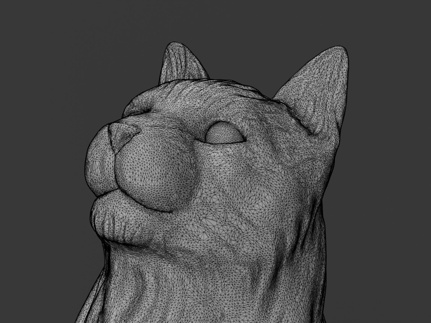 3D Cat Model - TurboSquid 2025502