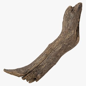 3D Broken Driftwood Piece 01 model