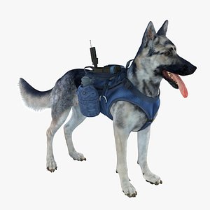 military shepherd dog 3d max