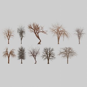 Winter tree pack 2 3D model