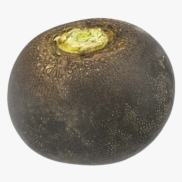 turnip black 01 3D model