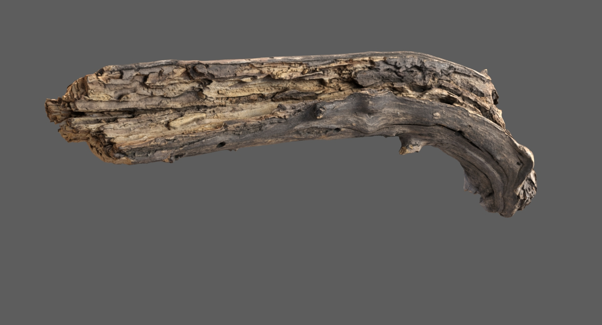 Branch Scanned 5 3D Model - TurboSquid 1420301