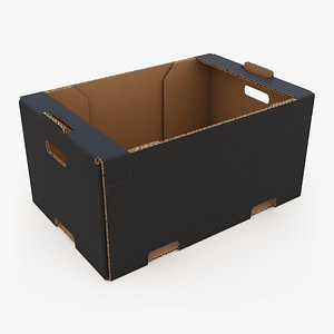 Fruit Cardboard Box v2 Black 3D