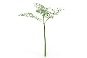 3D sprout salad vegetable