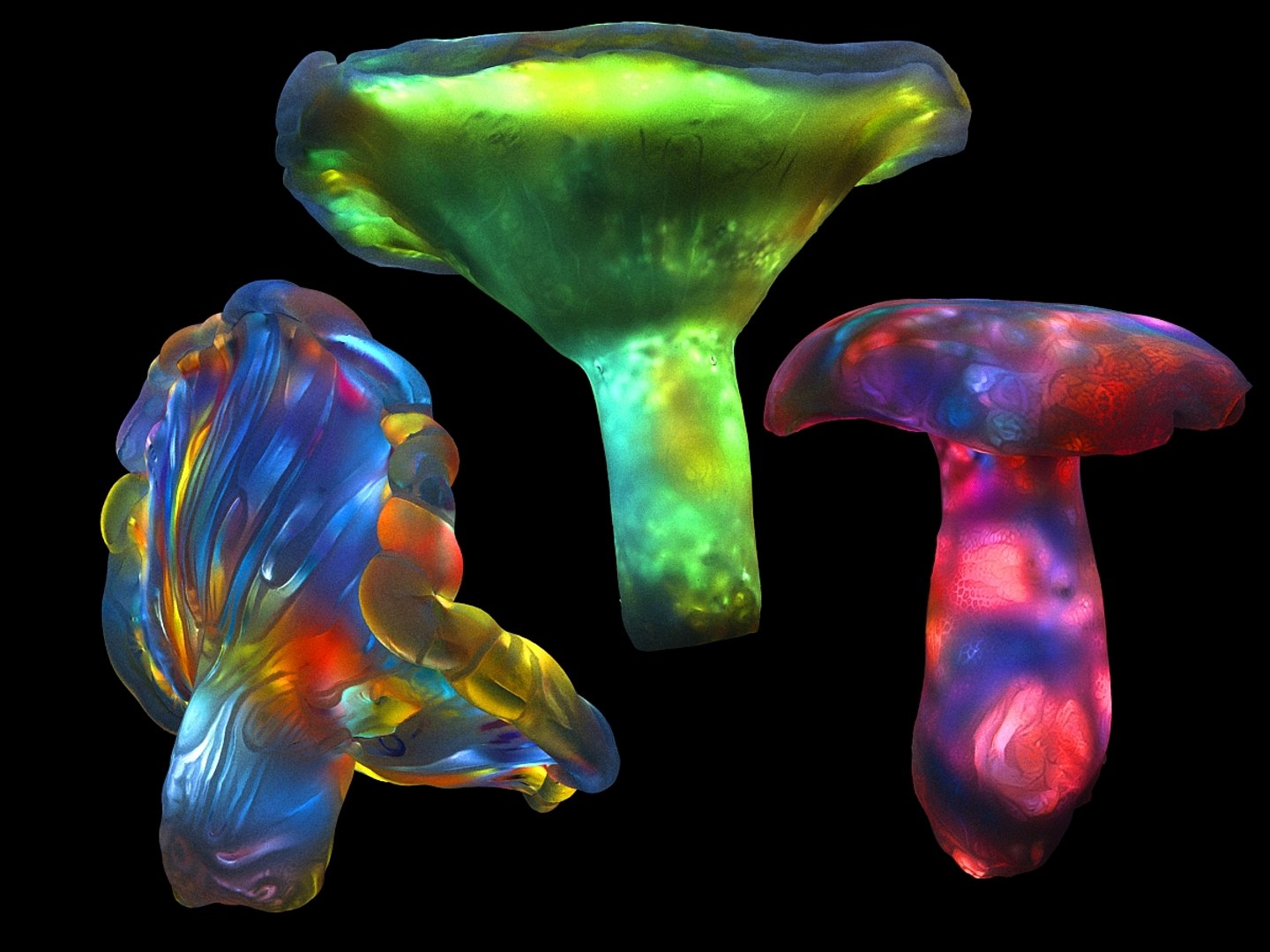 3D magic emitting fungi https://p.turbosquid.com/ts-thumb/DK/0XspGH/TqWVWKCw/0139/jpg/1576872847/1920x1080/fit_q87/3bc3c8f4b93073e8742f712cdc07fea5172ceed2/0139.jpg
