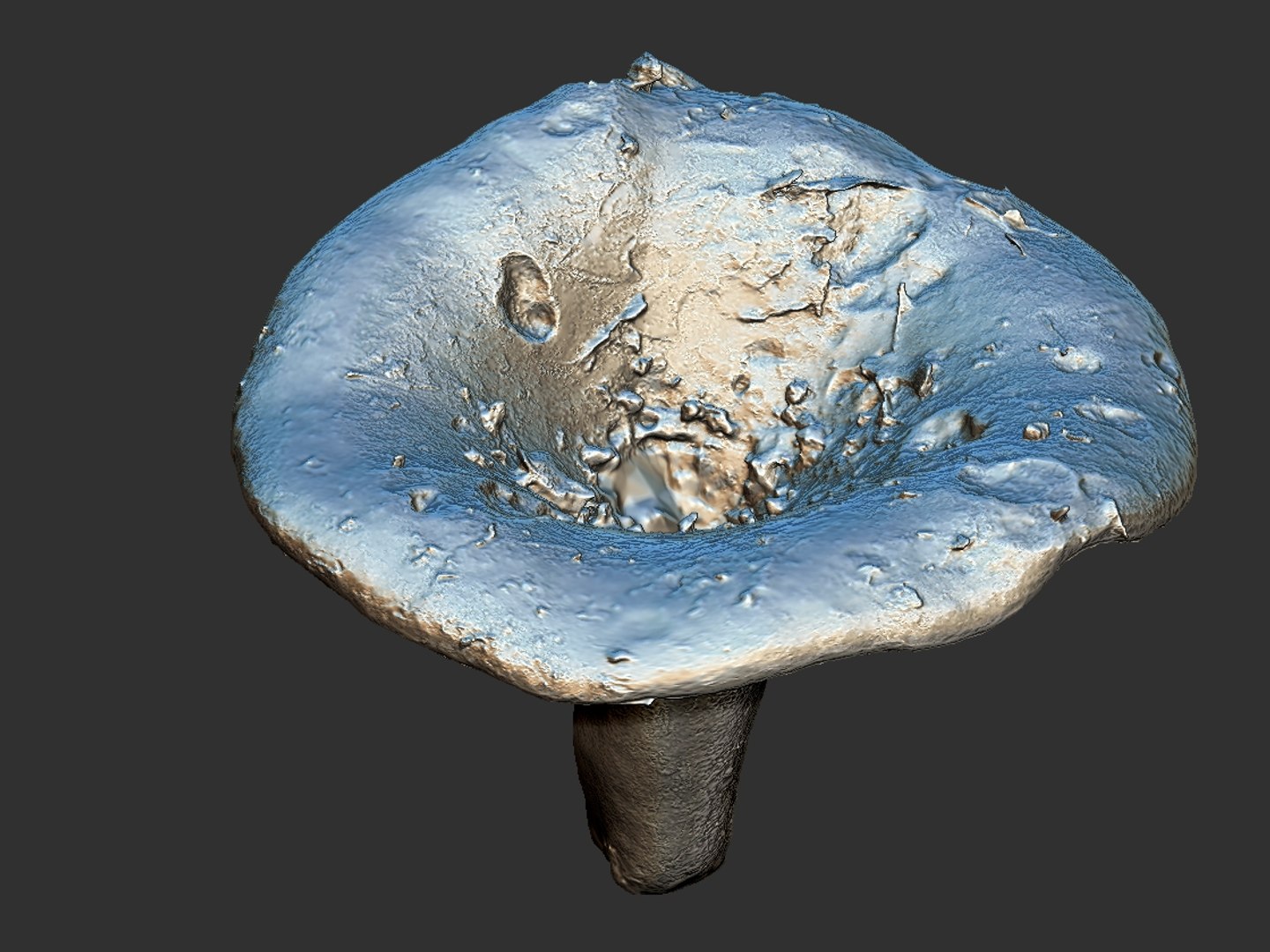 3D magic emitting fungi https://p.turbosquid.com/ts-thumb/DK/0XspGH/d93W9X9I/6778/jpg/1576871451/1920x1080/fit_q87/e23ba6787378abbc46ed8556b6c5ca64dafc9bde/6778.jpg