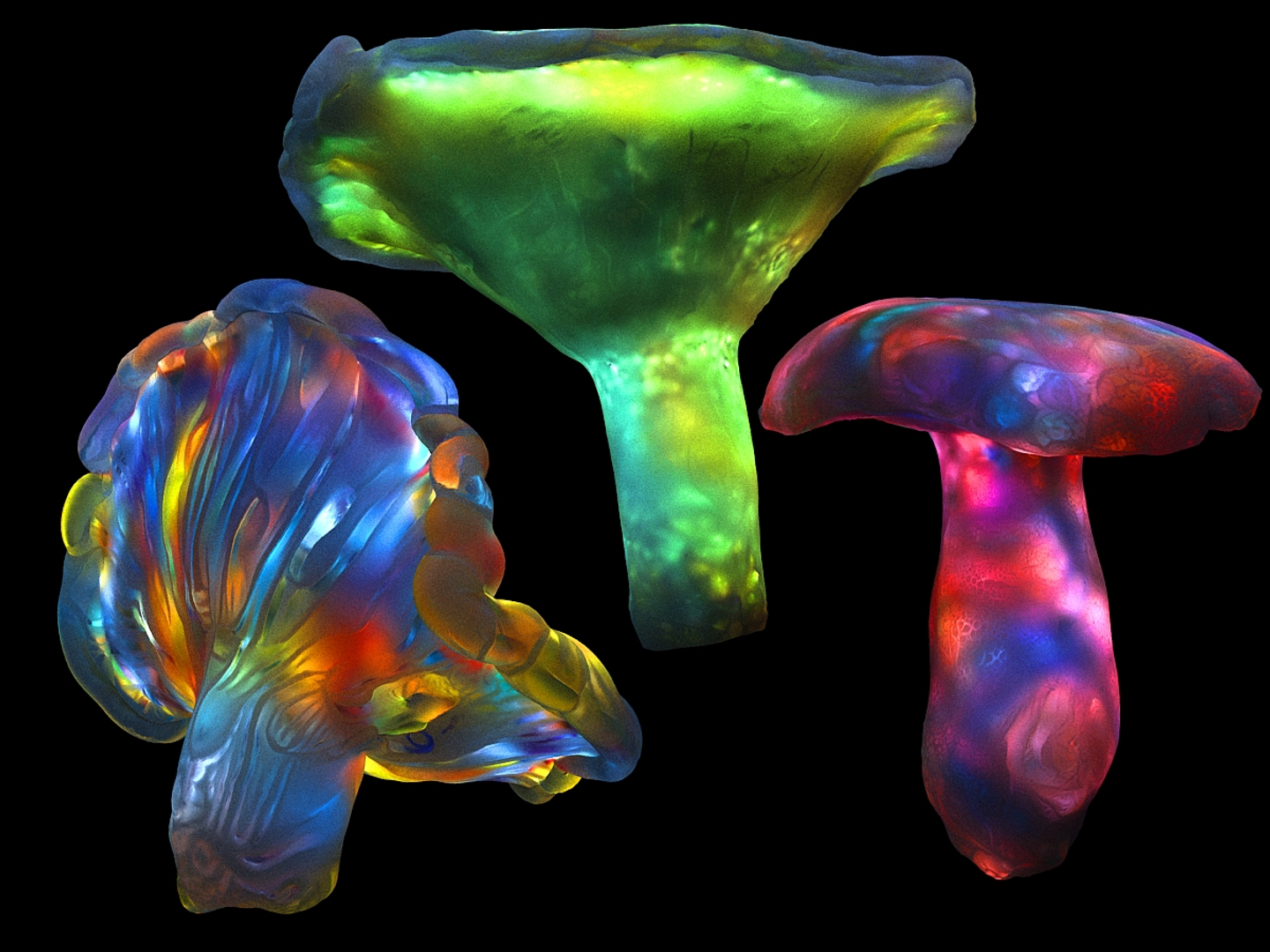 3D magic emitting fungi https://p.turbosquid.com/ts-thumb/DK/0XspGH/fWwmzAxI/0070/jpg/1576870853/1920x1080/turn_fit_q99/858667817d170d9ec0e51d6d7480ae7085d9624b/0070-1.jpg