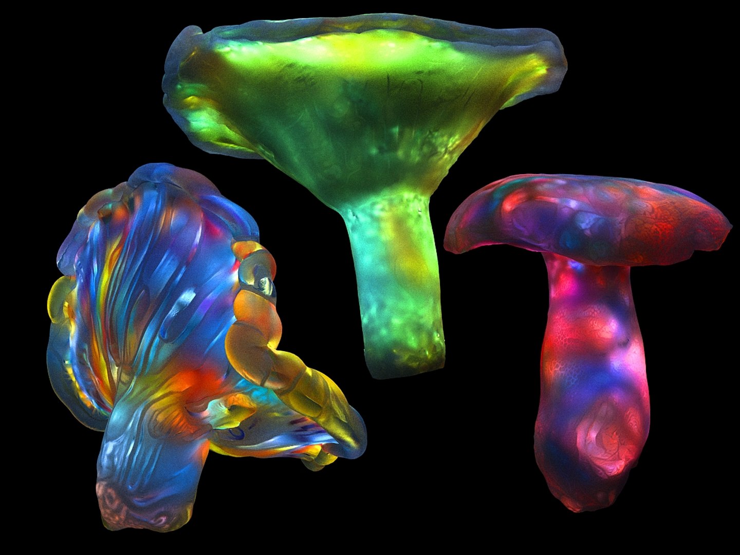 3D magic emitting fungi https://p.turbosquid.com/ts-thumb/DK/0XspGH/nGnPQvpm/0105/jpg/1576872847/1920x1080/fit_q87/560a2c8983997f9a79e776980c5b28f42f5b58cb/0105.jpg