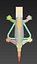Gecko lizard