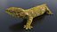 Gecko lizard